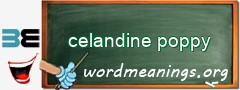 WordMeaning blackboard for celandine poppy